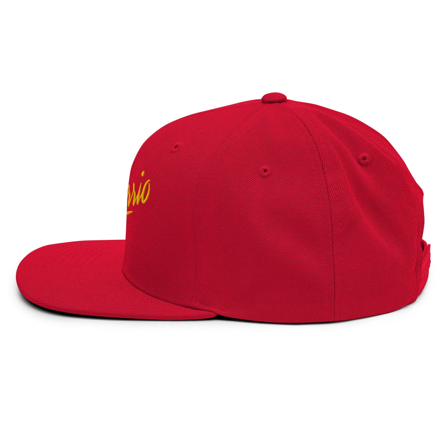 Solarrio Snapback Hat